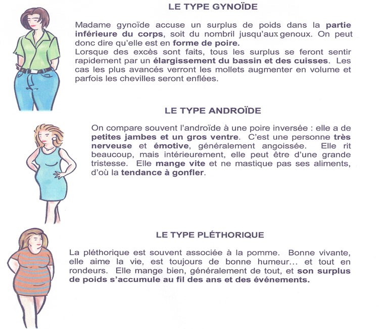 Illustration des profils gynoïde, androïde et pléthorique